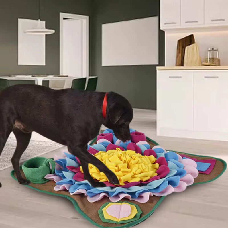 Dog mats-dog puzzle mat-golden retriever plays a dog puzzle mat