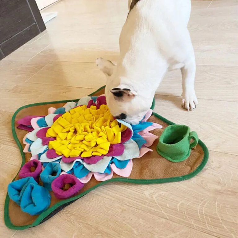 Our Blind Dog-Dog mats-what is a snuffle mat