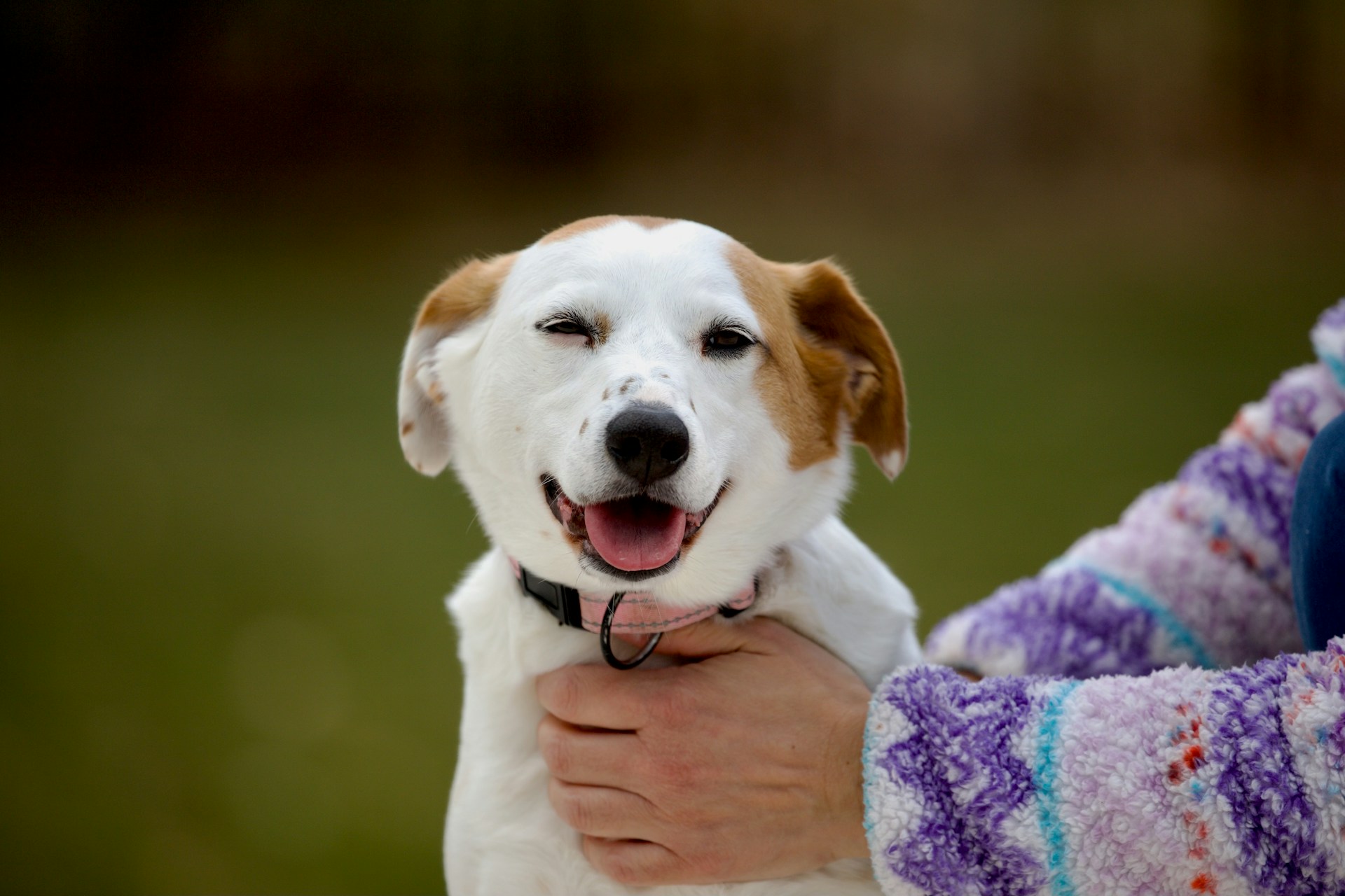 Preventing fear and anxiety