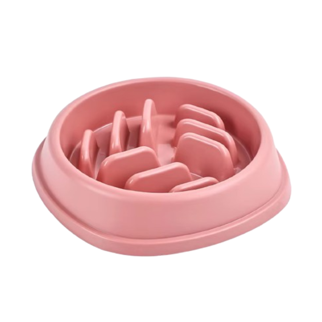 dog enrichment bowl for cat and dog